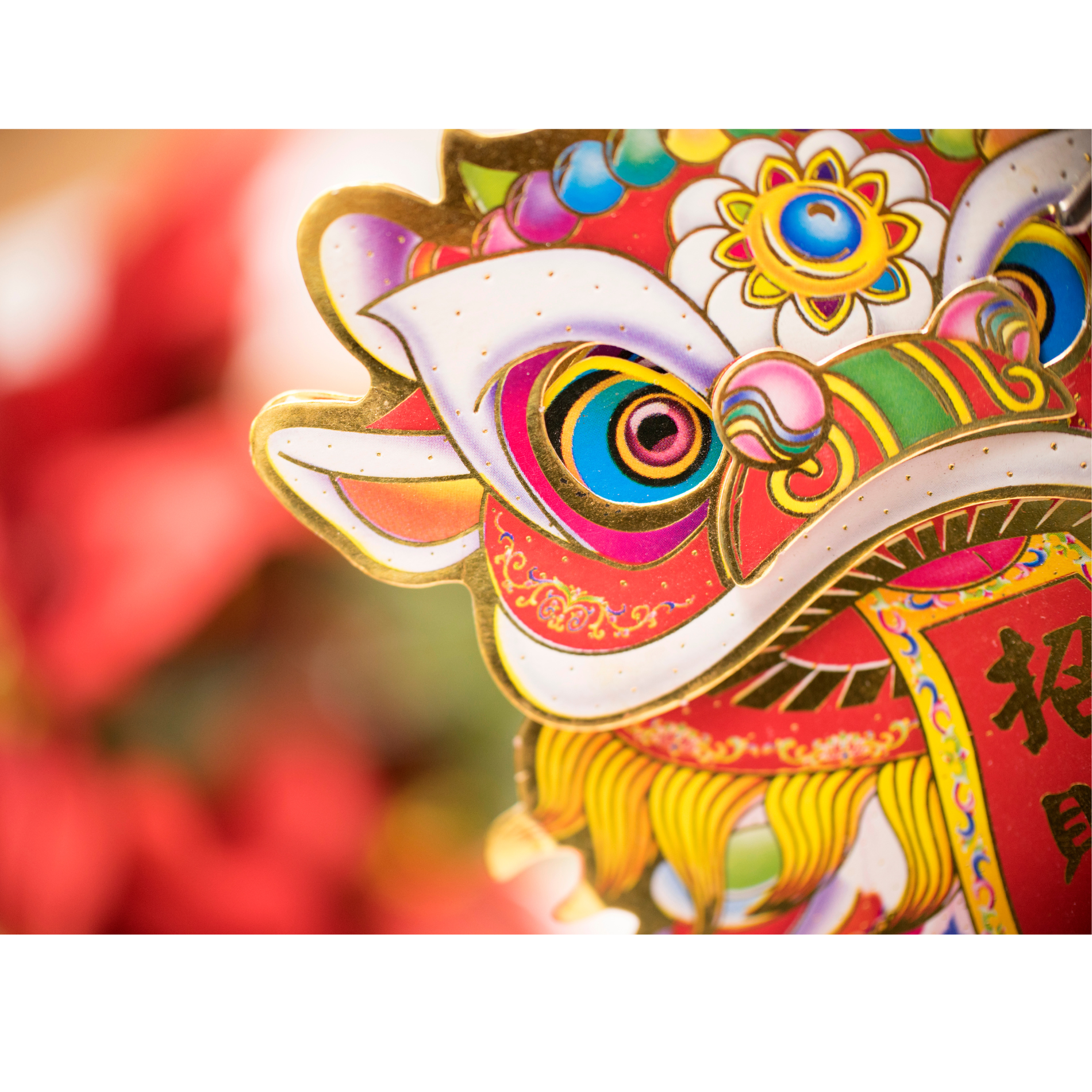 Celebrating Lunar New Year