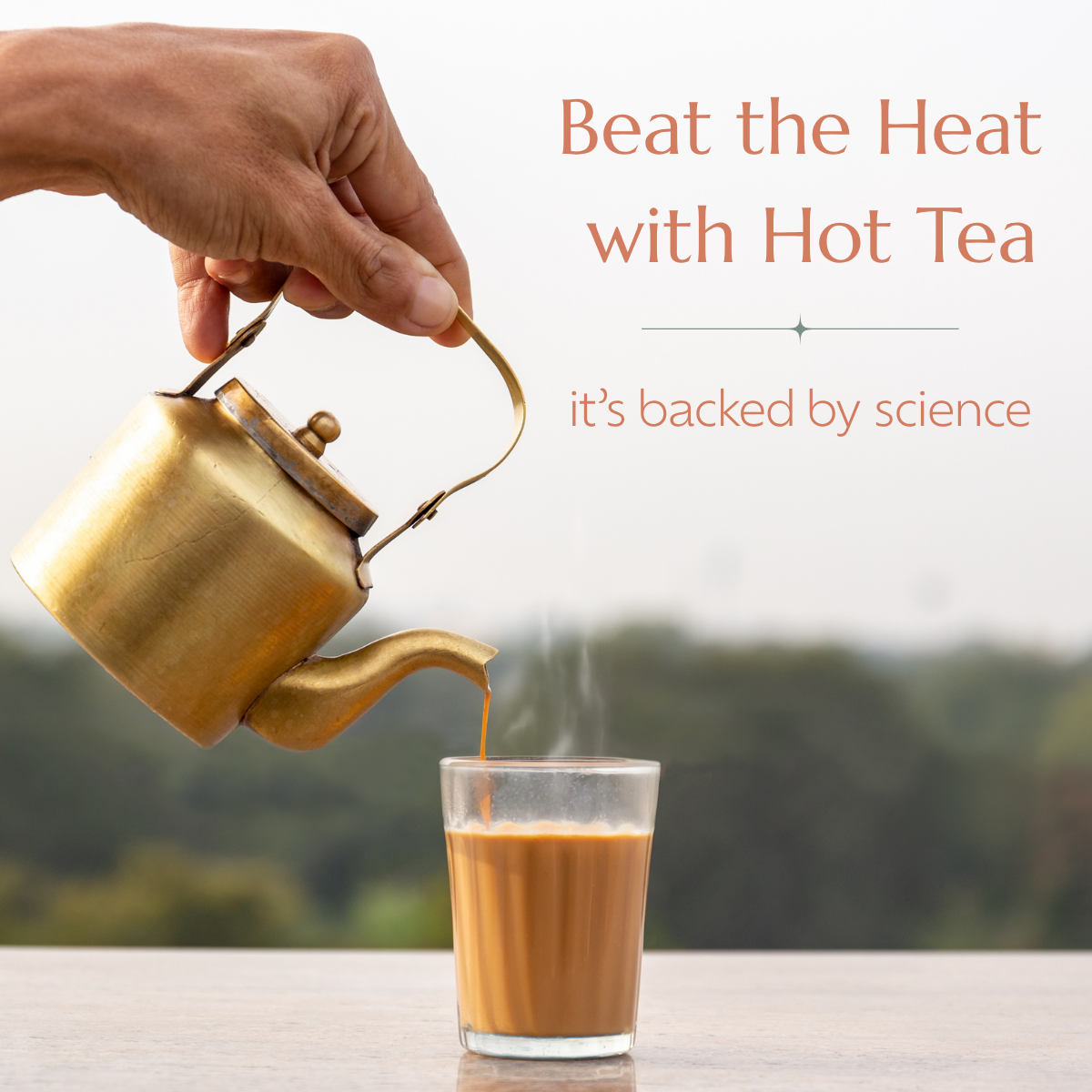 Beat the Heat with a Cup of Hot Tea