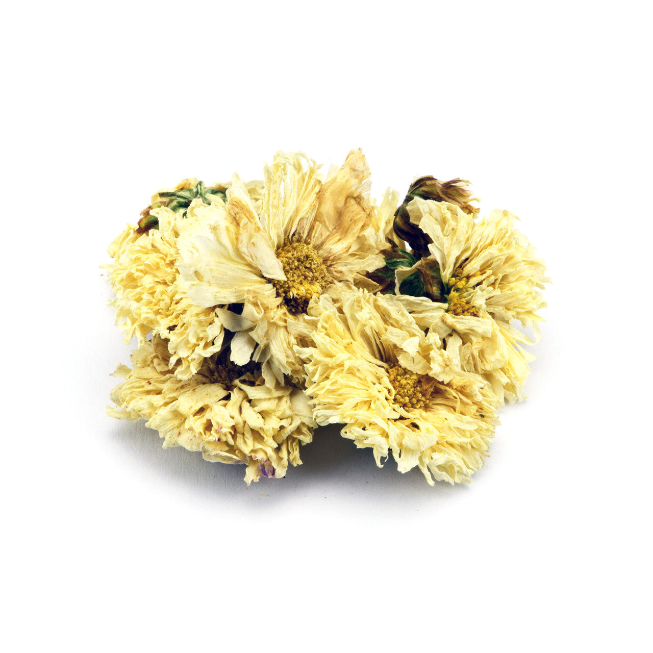 Cooling Chrysanthemum