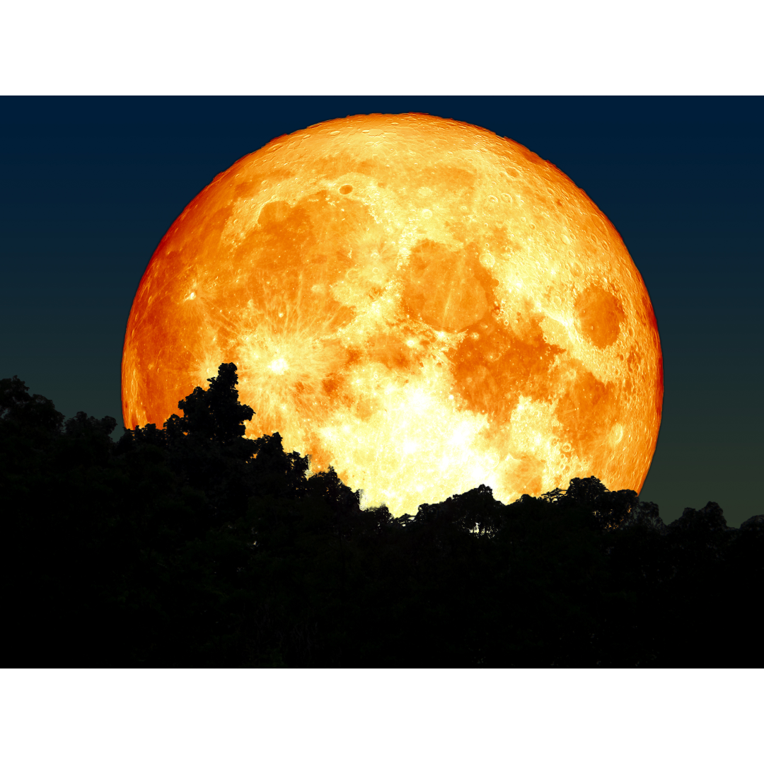Rouge Pleine Lune