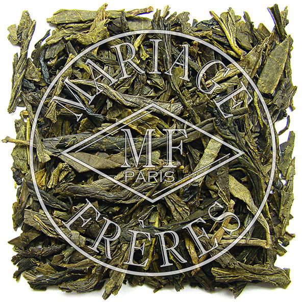 Provenza verde