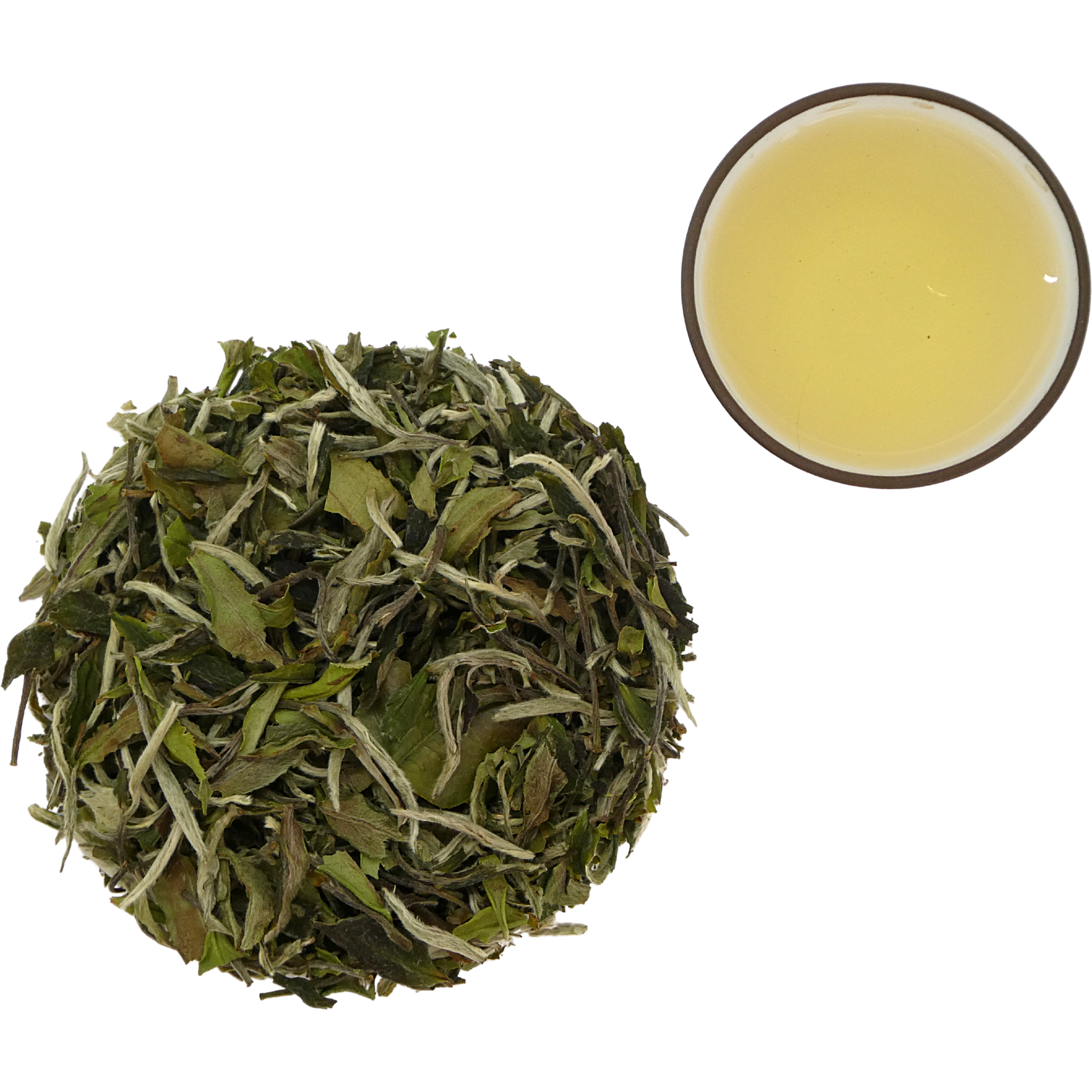 Artisan Tea Collection No. 2