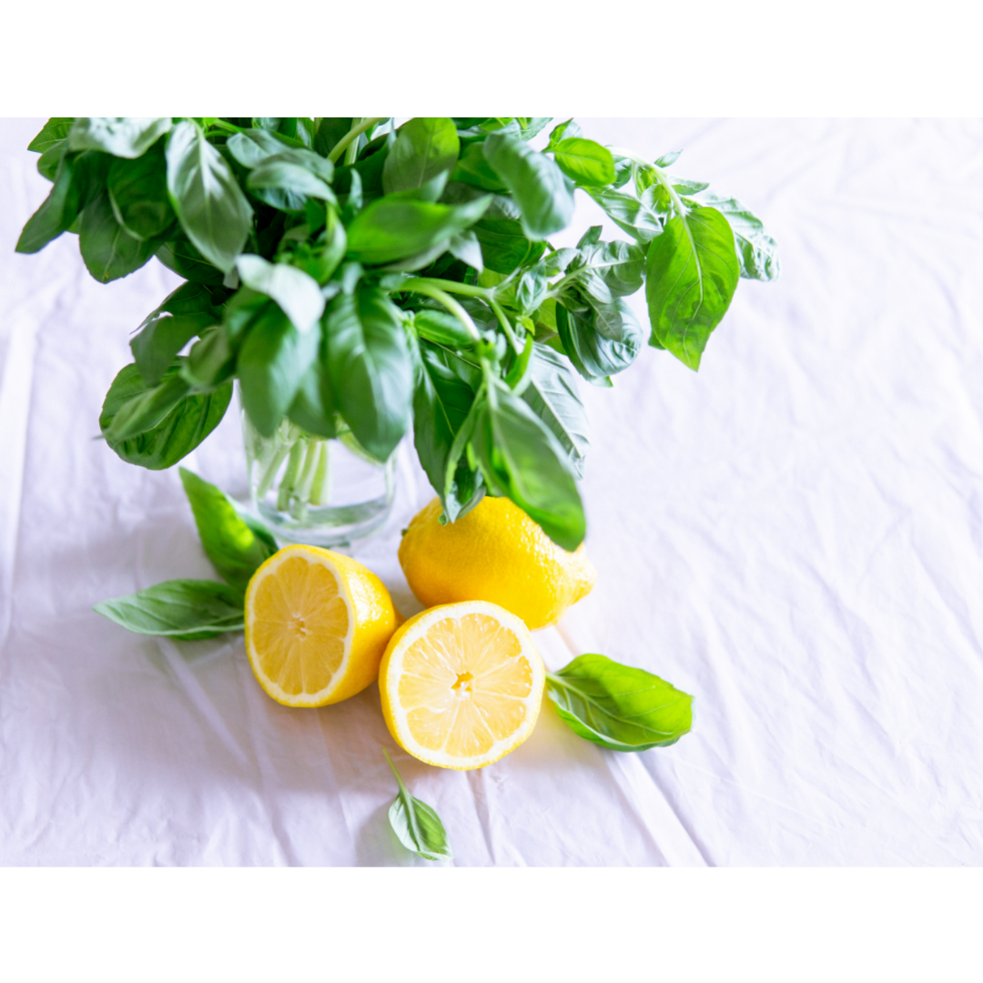 Albahaca Limón