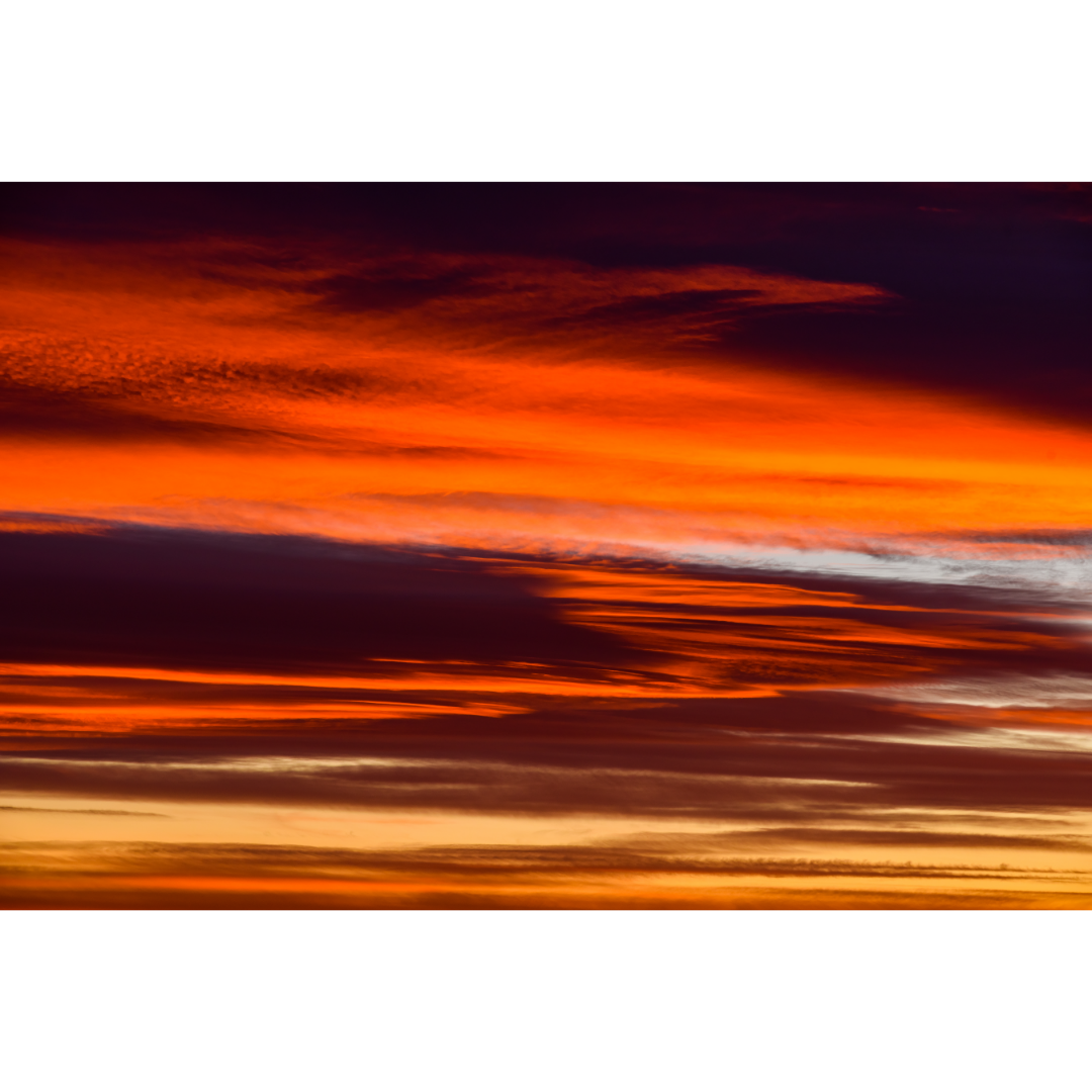 Rooibos orange coucher de soleil