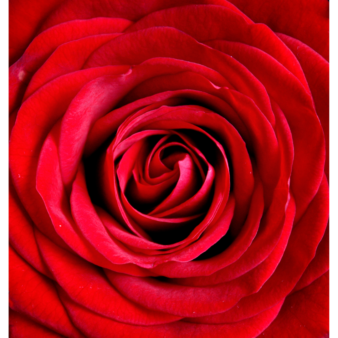 Saint Valentin