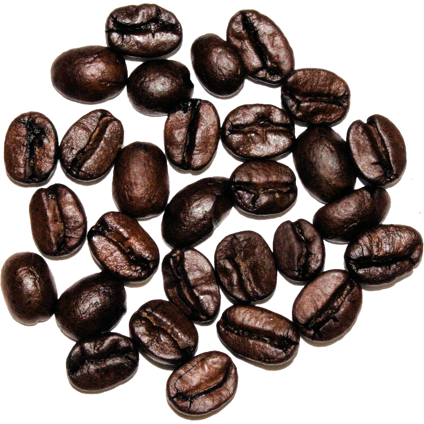 Texas Pecan - The Cultured Cup®