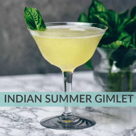 Indian Summer Gimlet