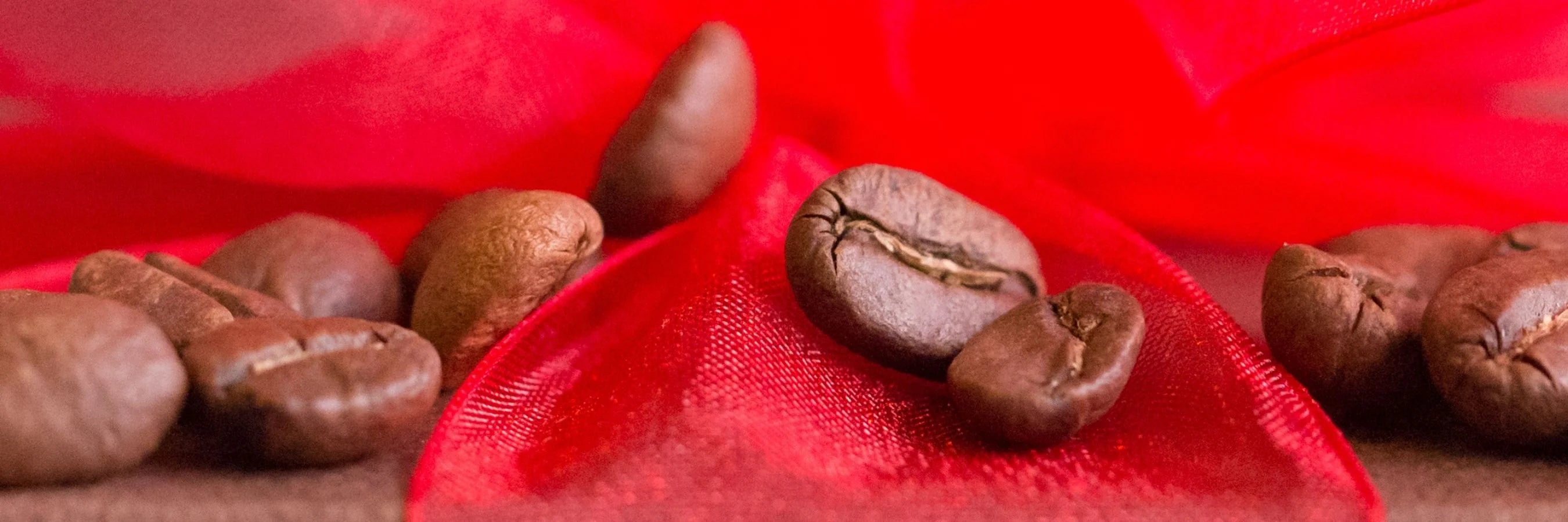 Light Roast Coffee