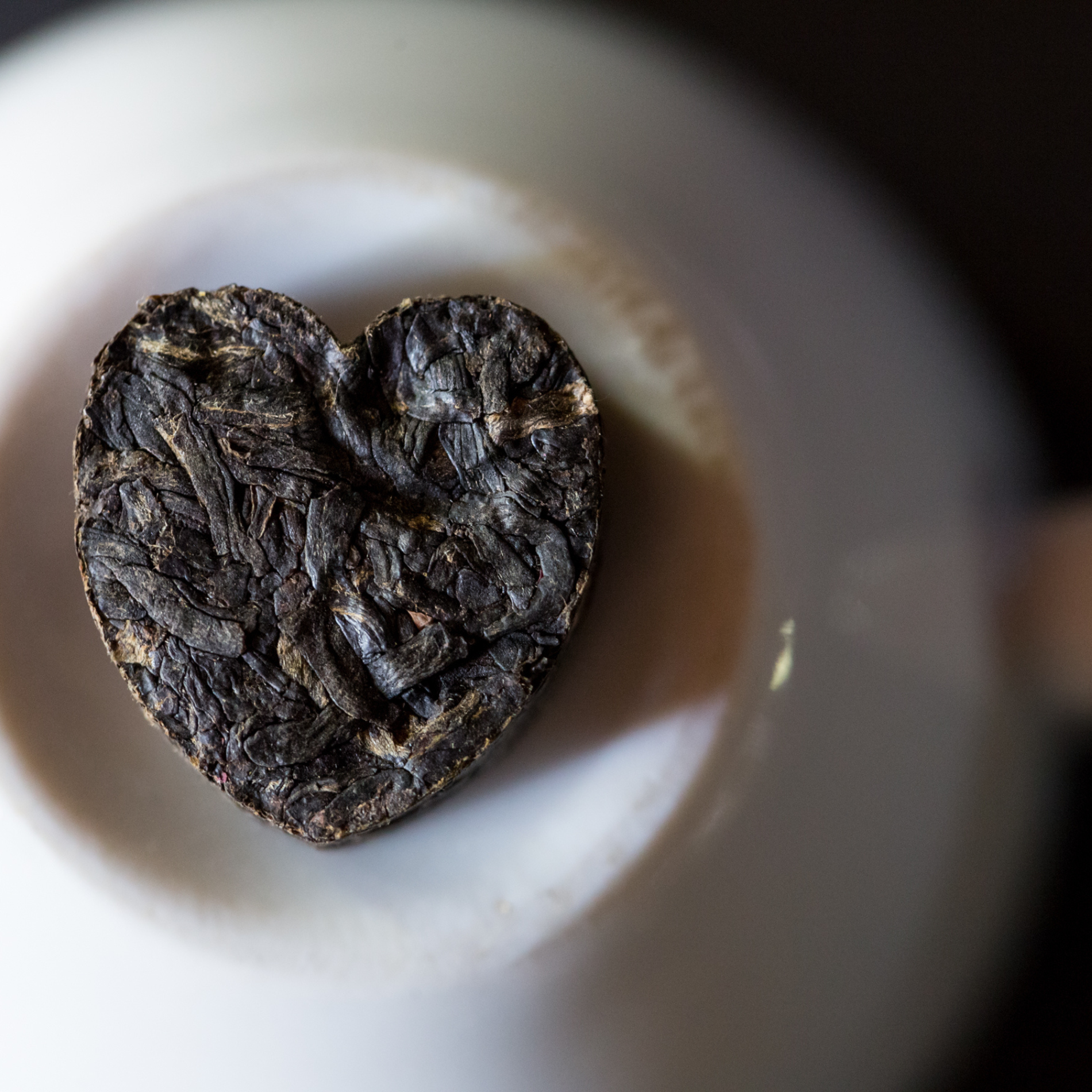 Rosa de té de la tarde