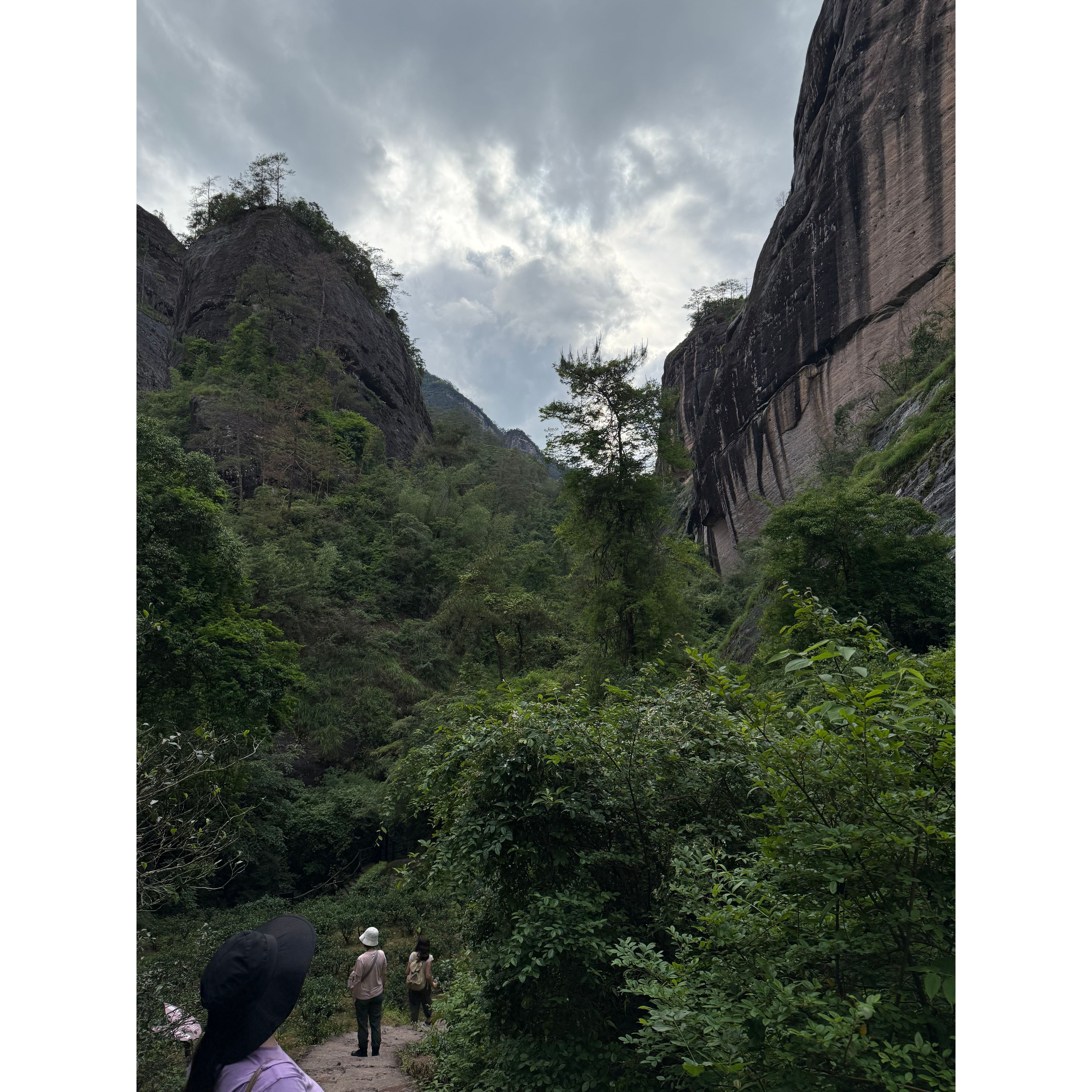 Da Hong Pao Mother Rock