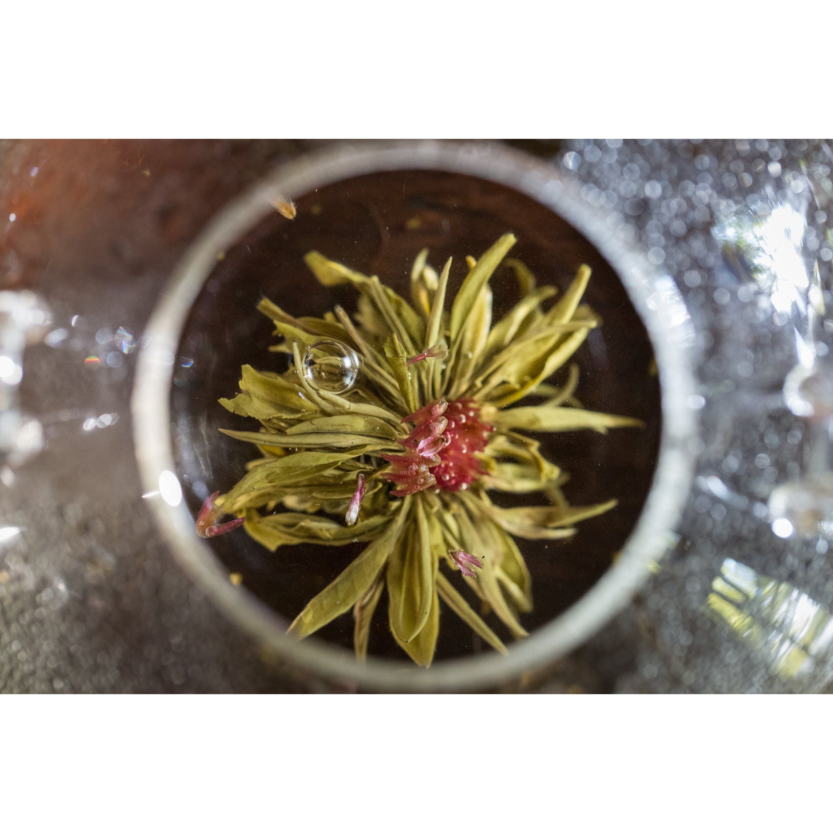 Blooming Blossom