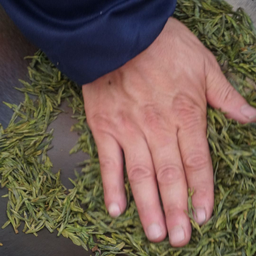 Dragonwell Toasted Chestnut