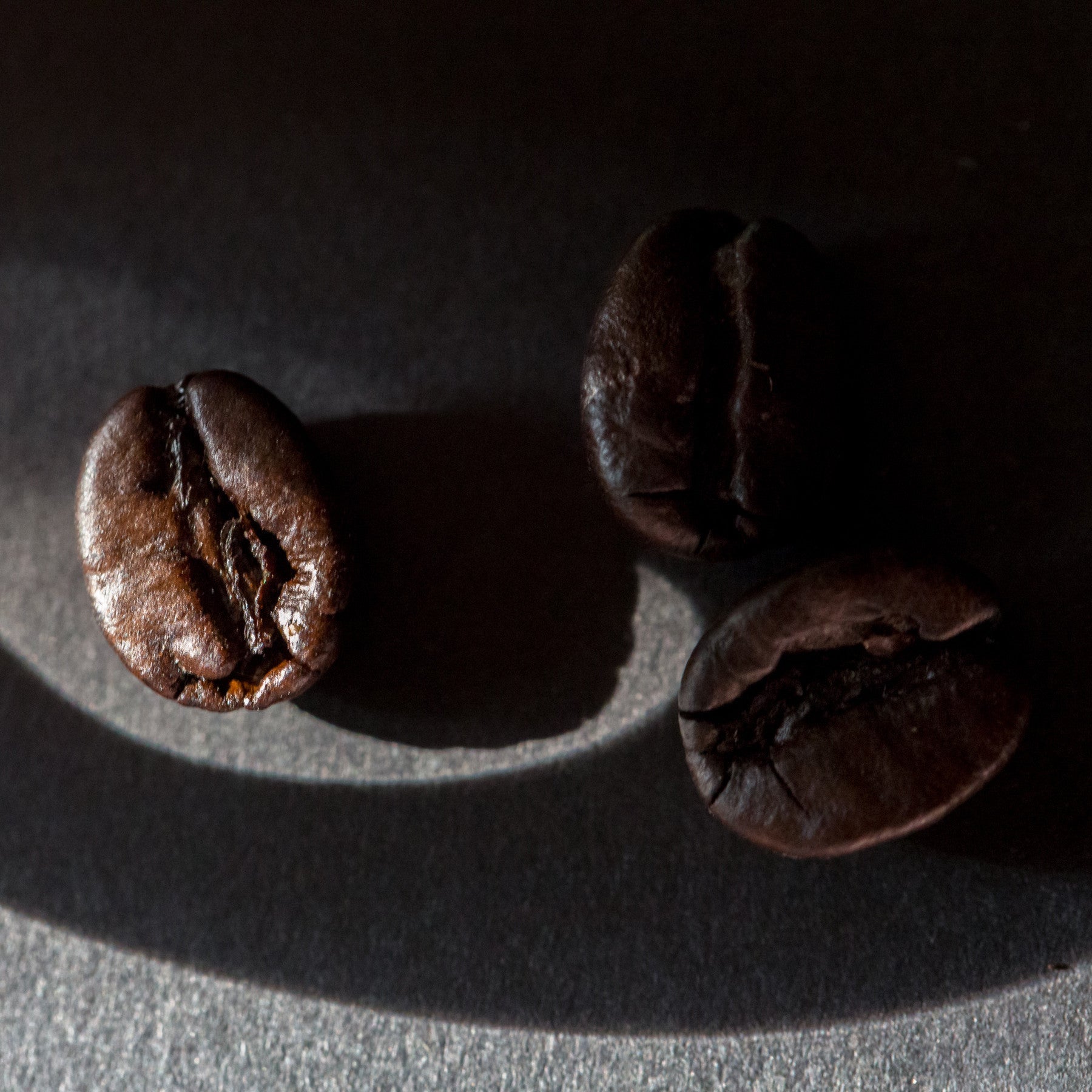 Three Roasts Coffee Collection - The Cultured Cup®
