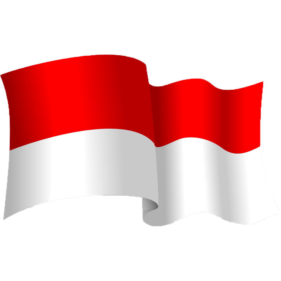 Indonesian Flag Graphic on white
