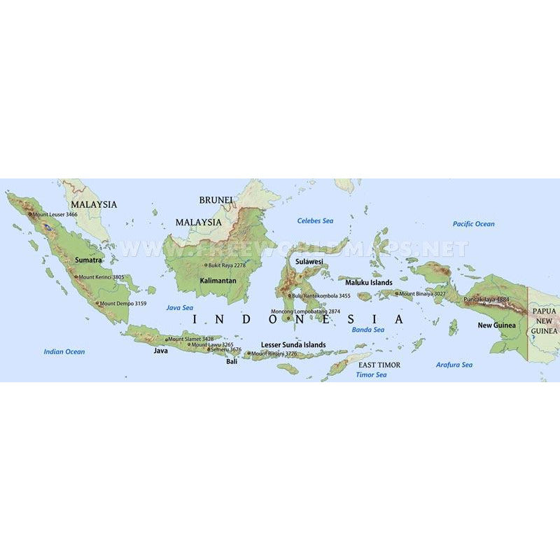 Sumatra doré