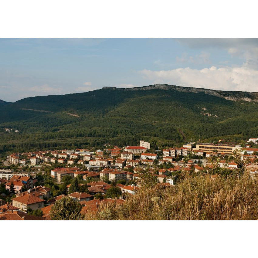French Butter Biscuits (Broyés du Poitou)