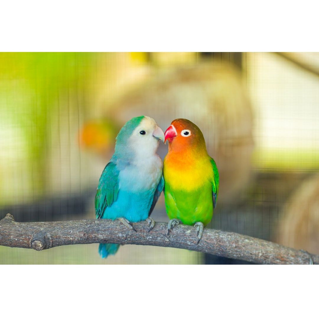 Tea Towel, Valentine Lovebirds, Pink