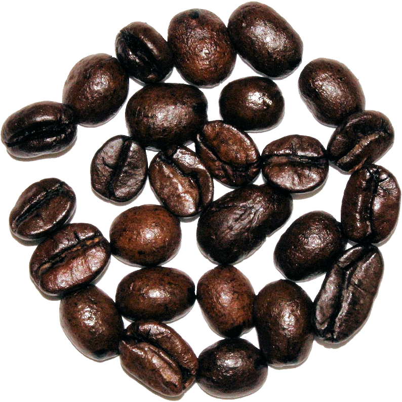 Coconut Cream - The Cultured Cup®
