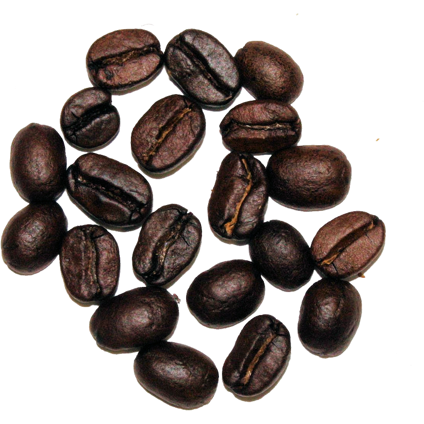 Coffee | The Cultured Cup®