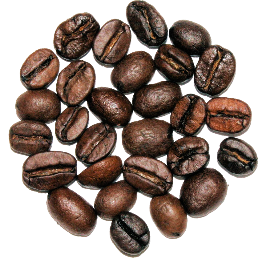 Turtle Blend - The Cultured Cup®
